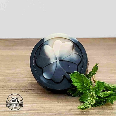 Peppy Peppermint Party - Charcoal Round