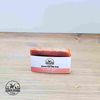 Orange Spice Goat Milk Soap